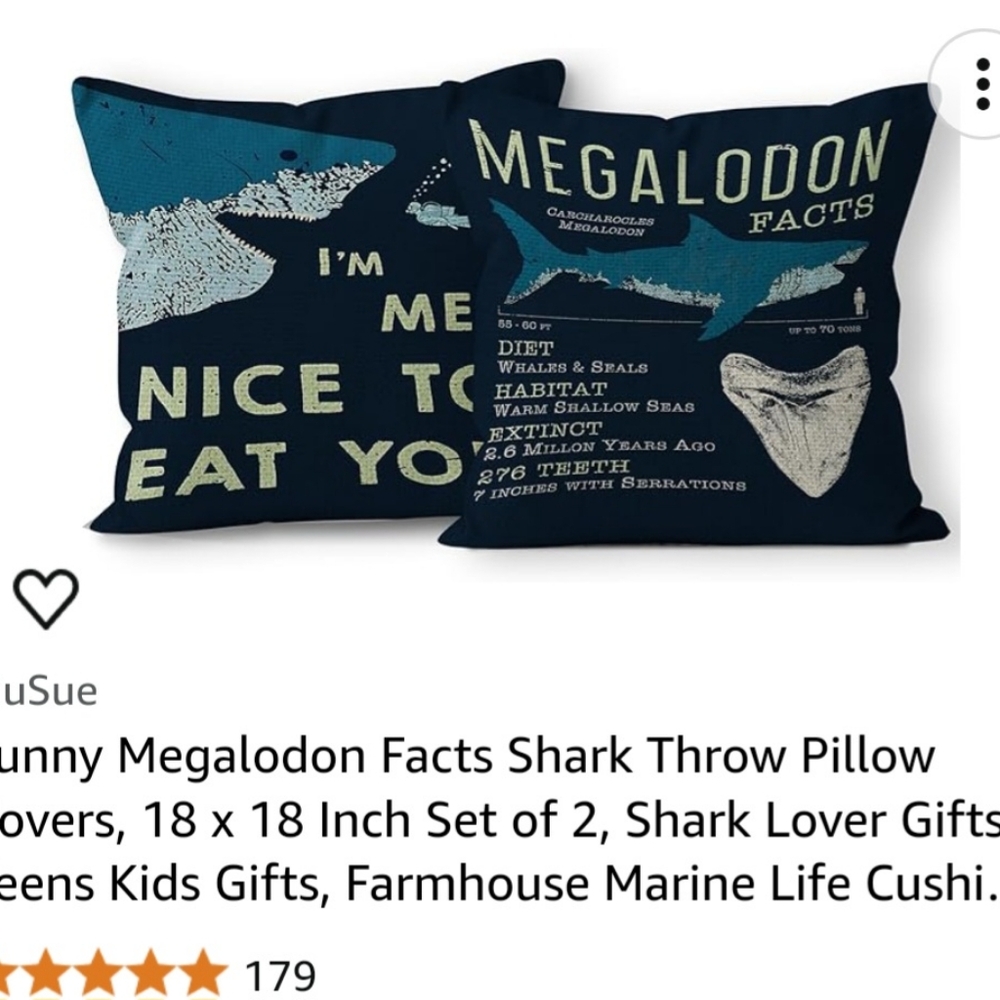 Throw pillow covers